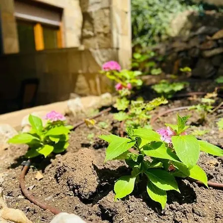 Apartment Saint Marina Bay Sozopol